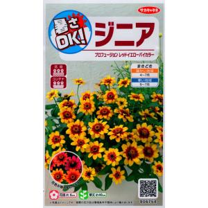 花種子 百日草（ジニア） カクタス咲混合 タキイ種苗のタネ : Gardener