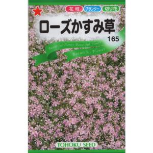 花種子 ふうせんかずら トーホクのタネ : Gardener s Shop Ivy - 通販
