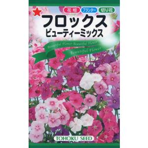 【種子】フロックス ビューティーミックス トーホクのタネ｜gardeningivy