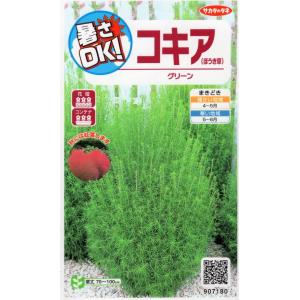 花種子 コキア（ほうき草） グリーン サカタのタネ