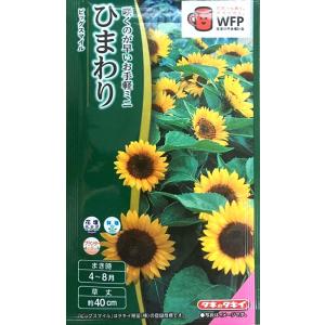 花種子 オンファロデス リトルスノーホワイト タキイ種苗のタネ