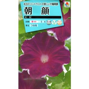 花種子 朝顔 紅冠 タキイ種苗のタネ