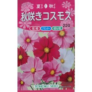 花の種（営利用）アサガオ 朝顔 暁の混合 1000粒 プライマックス種子