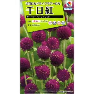 花種子 ふうせんかずら トーホクのタネ : Gardener s Shop Ivy - 通販