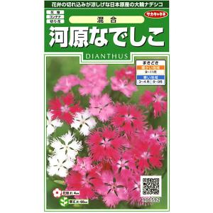 【種子】河原なでしこ 混合 サカタのタネ