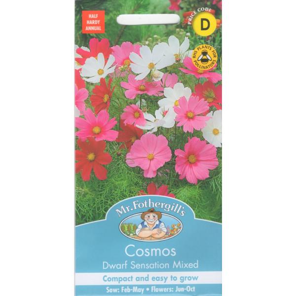 【種子】Mr.Fothergill&apos;s Seeds Cosmos Dwarf Sensation M...