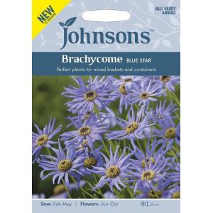 Johnsons Seeds Brachycome BLUE STAR ブラキカム ブルースター