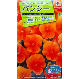 花種子 パンジー F1ナチュレ トゥルーオレンジ...の商品画像