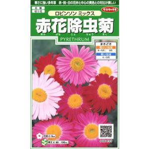 花種子 赤花除虫菊（ピレスラム） ロビンソンミックス サカタのタネ