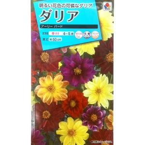 花種子 オンファロデス リトルスノーホワイト タキイ種苗のタネ