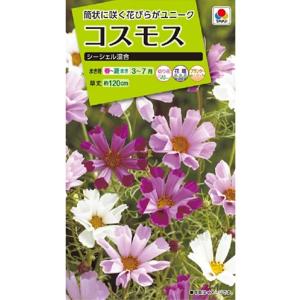 SK9-099 ブロッコリー種子 ペレット5000粒 【野菜種子】【サカタのタネ