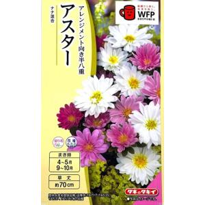 ガーベラ 種の商品一覧 通販 Yahoo ショッピング