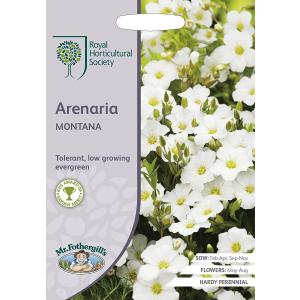 Mr.Fothergill's Seeds Royal Horticultural Society Arenaria MONTANA RHS アレナリア モンタナ ミスター フォザーギルズシード
