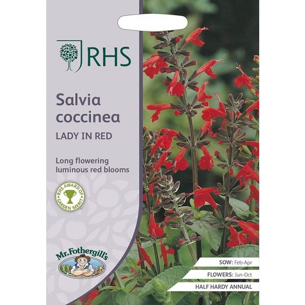 【種子】Mr.Fothergill&apos;s Seeds Royal Horticultural Soci...