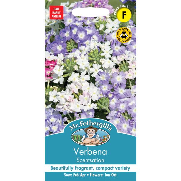 【種子】 Mr.Fothergill&apos;s Seeds Verbena Scentsation バーベ...