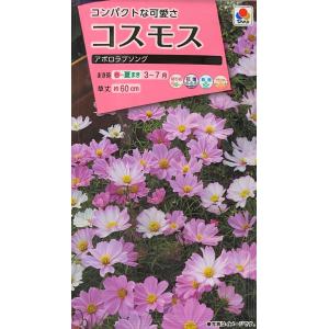 花種 小袋 NL300 コスモス アポロラブソング 小袋 [FCS238]【花の種