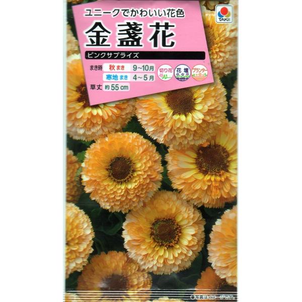 【種子】金盞花（きんせんか） ピンクサプライズ タキイ種苗のタネ