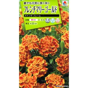 花種子 フレンチマリーゴールド ボナンザ混合 タキイ種苗のタネ