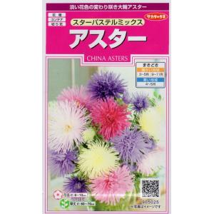 大輪アスター 花の種 の商品一覧 種 種子 花 ガーデニング 通販 Yahoo ショッピング