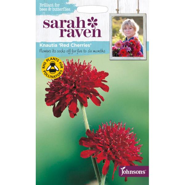 【種子】Johnsons Seeds Sarah Raven Brilliant for Bees ...