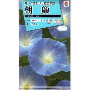 花種子 ふうせんかずら トーホクのタネ : Gardener s Shop Ivy - 通販