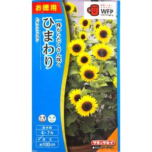 花種子 お徳用袋 切花用ひまわり F1 サンリッチレモン タキイ種苗の