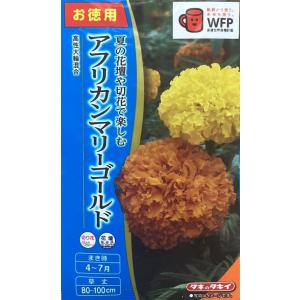 花種子 アフリカンマリーゴールド 高性大輪混合 お徳用パック タキイ種苗のタネ