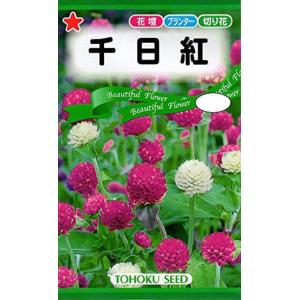 ふうせんかずら種　100粒 ふうせんかずら種 100粒 【公式通販】
