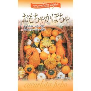 花種子 おもちゃかぼちゃ 福花園種苗のタネ
