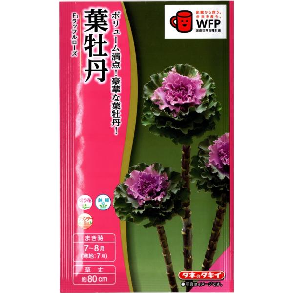 Gardener's Shop Ivy｜種子(タネ)・球根・苗・園芸用品の通販