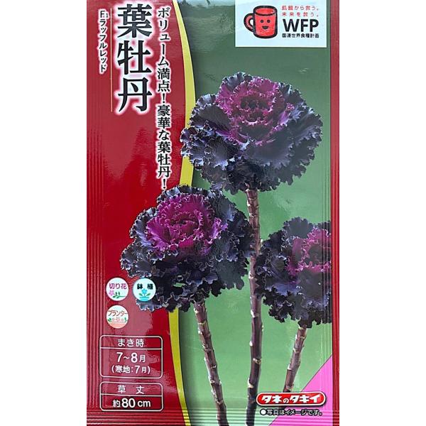 Gardener's Shop Ivy｜種子(タネ)・球根・苗・園芸用品の通販