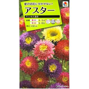 花種子 アスター プリンセス混合 タキイ種苗のタネ