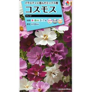 花種子 コスモス サイケ タキイ種苗のタネ