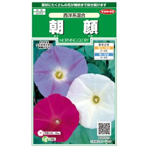 花種子 朝顔「つばめ朝顔」 1ml（サカタのタネ）【送料込み】 あさがお
