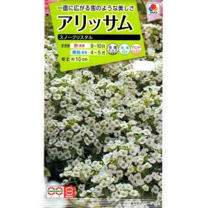 種子】ふうせんかずら トーホクのタネ : Gardener s Shop Ivy