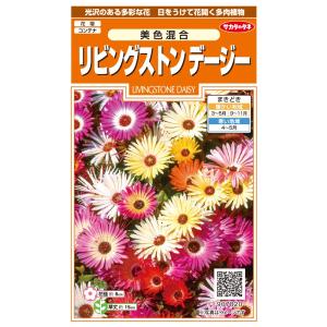 花種子 リビングストン デージー 美色混合 サカ...の商品画像