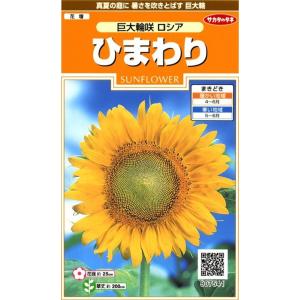 サカタのタネ（サカタノタネ） 花の種 ひまわり 巨大輪咲 ロシア 約20