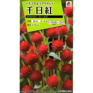 花種子 ふうせんかずら トーホクのタネ : Gardener s Shop Ivy - 通販