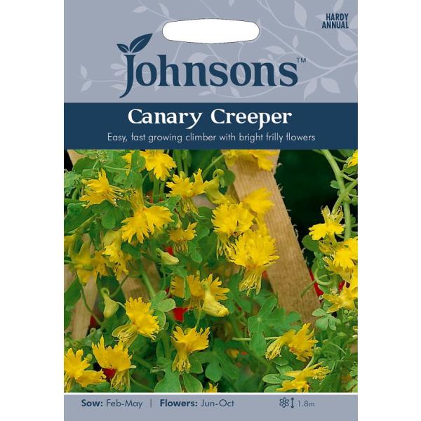 【種子】Johnsons Seeds Canary Creeper キャナリー・クリーパー ジョンソ...