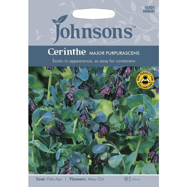 【種子】Johnsons Seeds Cerinthe major purpurascens セリン...