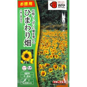 ひまわり取引 花種子 ひまわり サンキング お徳用パック タキイ種苗のタネ