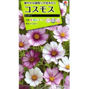 花種子 お徳用パック！ コスモス畑 センセーション混合 タキイ種苗の