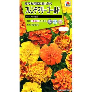 花種 NL150 フレンチマリーゴールド ホットパックイエロー 小袋