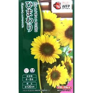 花種子 ミニひまわり 夏物語 トーホクのタネ : Gardener s Shop Ivy