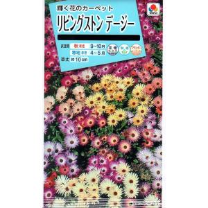花種子 リビングストン デージー 輝く花のカーペット タキイ種苗のタネ
