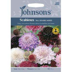 Johnsons Seeds Scabious Tall Double Mixed スカビオサ トール・ダブル・ミックス