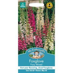 【種子】Mr.Fothergill&apos;s Seeds Foxglove Digitalis Foxy ...