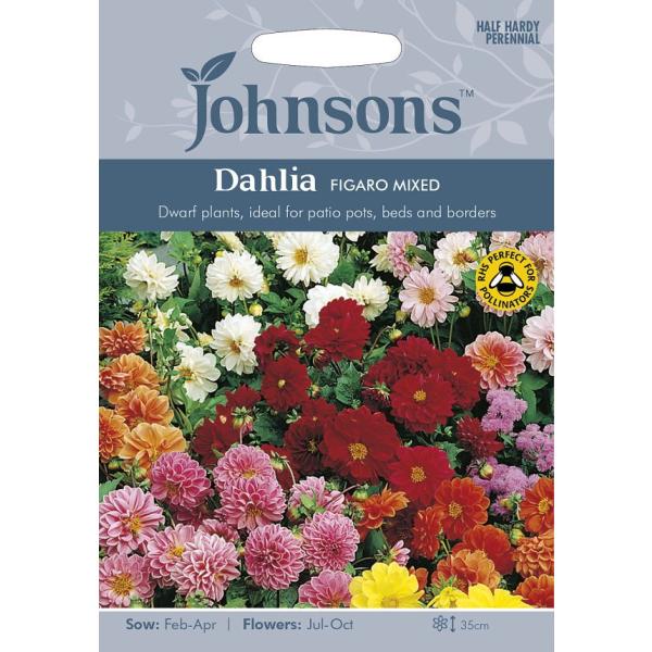 【種子】Johnsons Seeds Dahlia Figaro Mixed ダリア・フィガロ・ミッ...