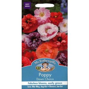 Mr.Fothergill's Seeds Poppy Dawn Chorus ポピー ダウン・コーラス