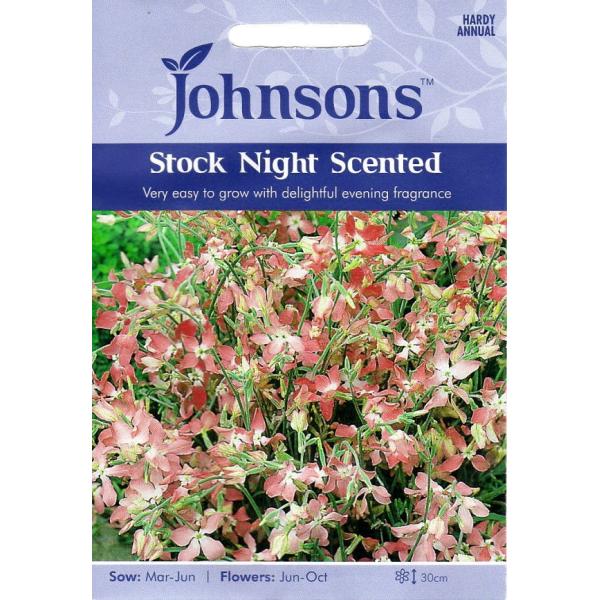 【種子】Johnsons Seeds Stock Night Scented ストック・ナイト・セン...